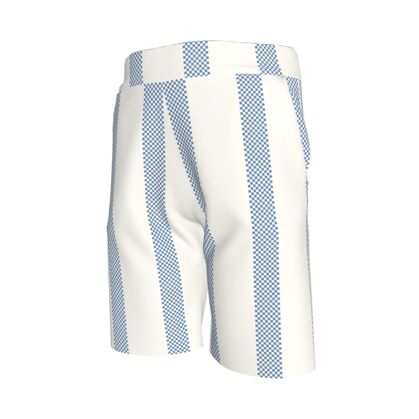 Blue Stripes Shorts