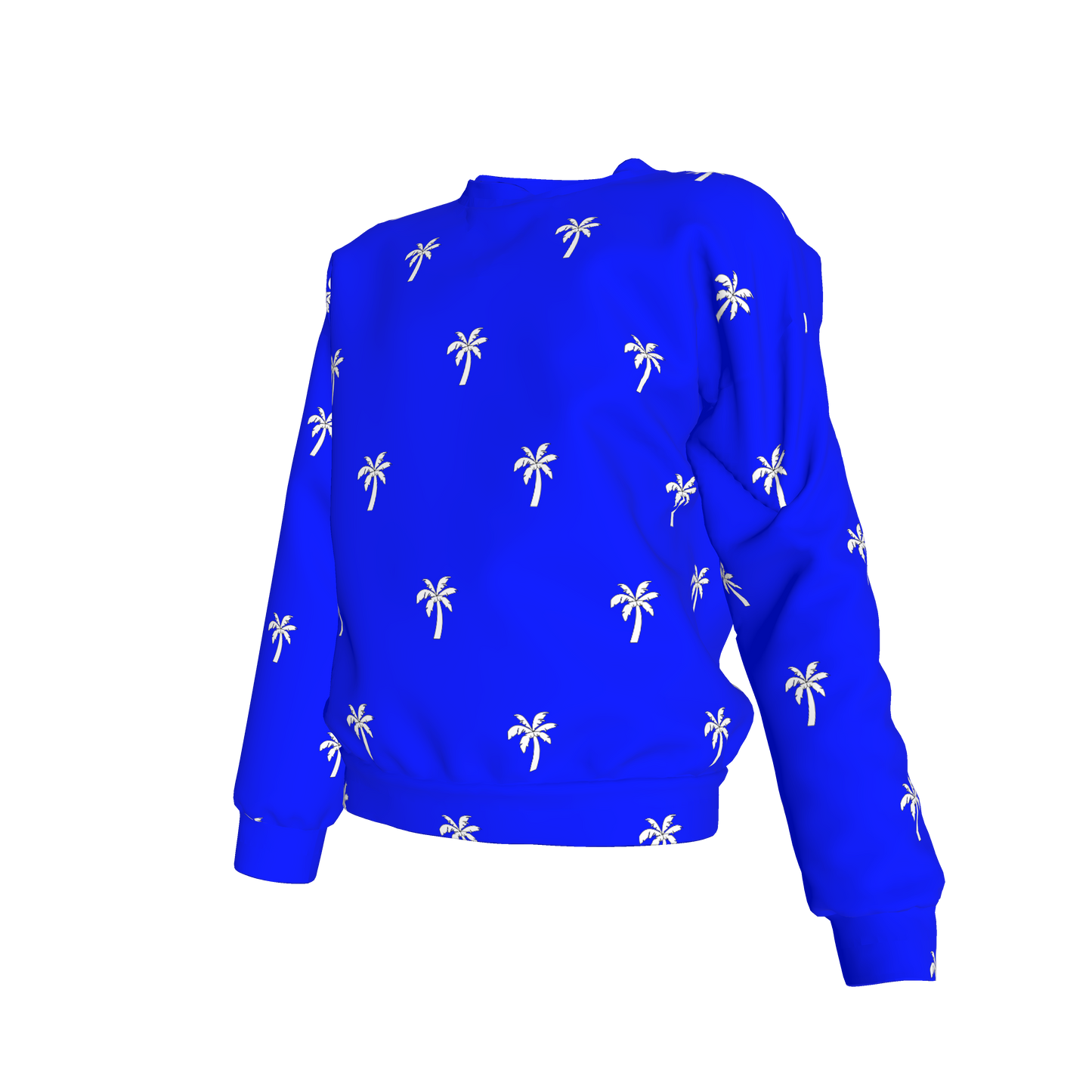 Zephyr Sweatshirt in Dockweiler