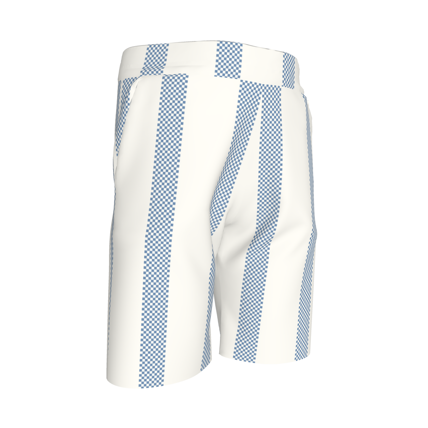 Blue Stripes Shorts