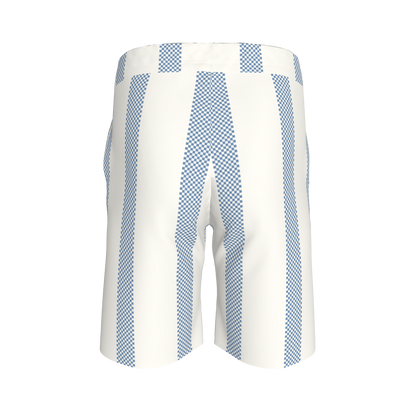 Blue Stripes Shorts