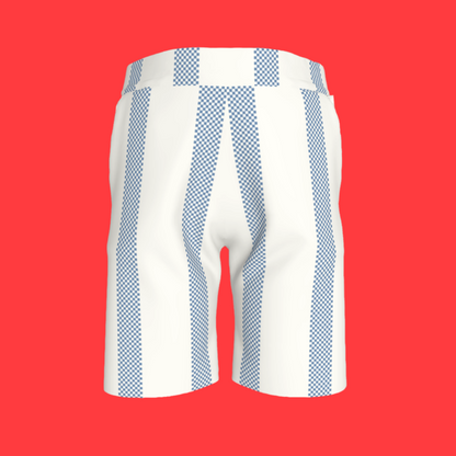 Blue Stripes Shorts