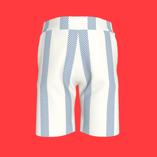 Blue Stripes Shorts